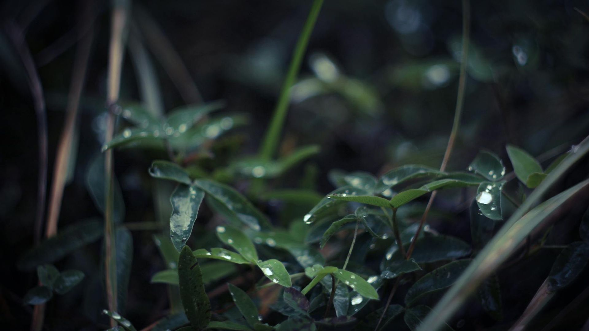 Minimalist dark space with a soft mint green glow, suggesting calmness and focus.